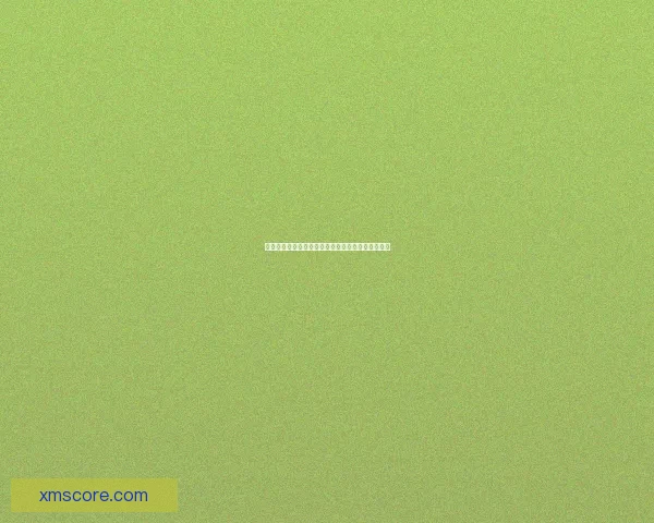 熊猫体育官网全新上线带你畅享精彩赛事与互动体验